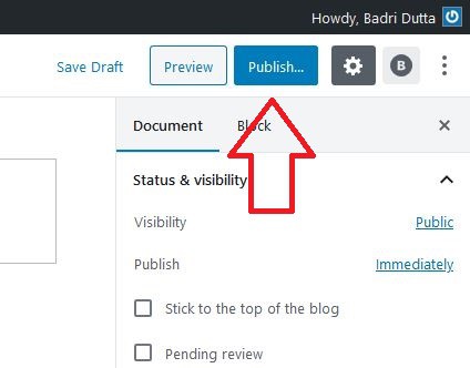 how to publish wordpress blog post